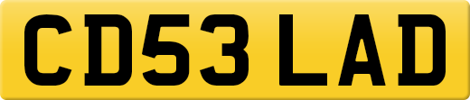 CD53LAD
