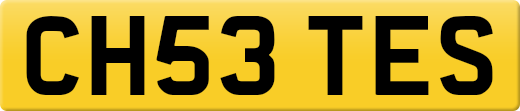CH53TES