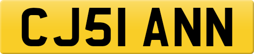CJ51ANN