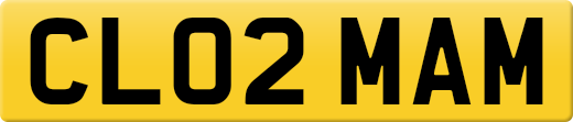 CL02MAM