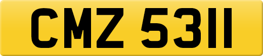 CMZ5311