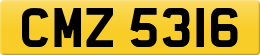 CMZ5316