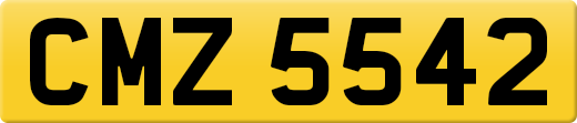 CMZ5542