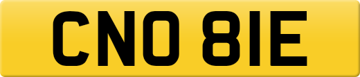 CNO81E