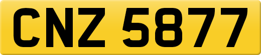 CNZ5877