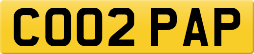 CO02PAP
