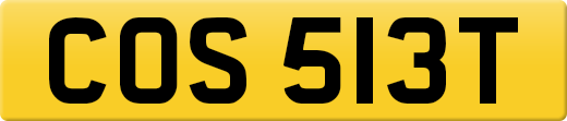 COS513T