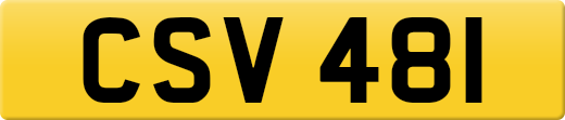 CSV481