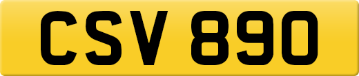 CSV890