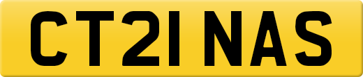 CT21NAS