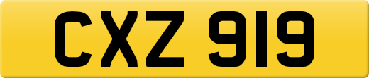 CXZ919