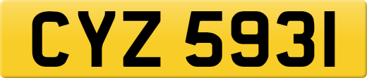CYZ5931