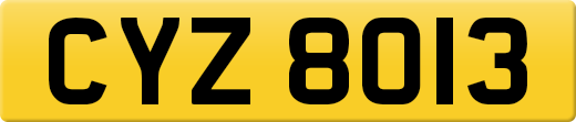 CYZ8013