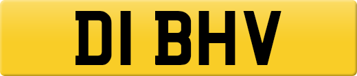 D1BHV