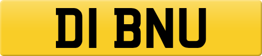 D1BNU