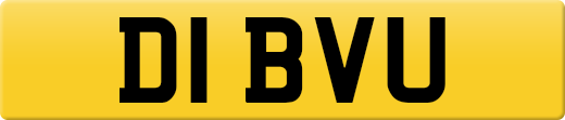 D1BVU