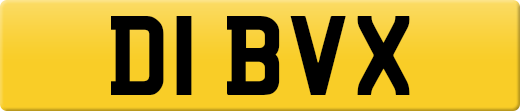 D1BVX