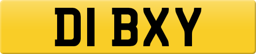 D1BXY