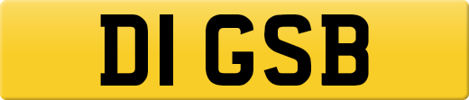 D1GSB