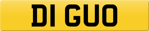D1GUO