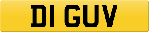 D1GUV