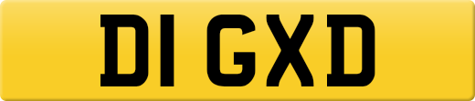 D1GXD