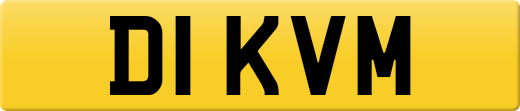 D1KVM