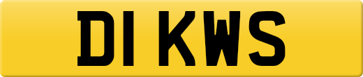 D1KWS