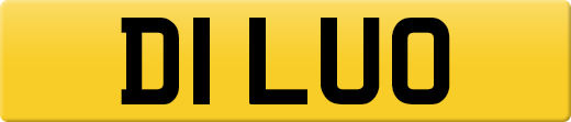 D1LUO