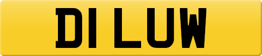 D1LUW
