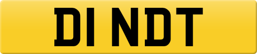 D1NDT