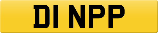 D1NPP