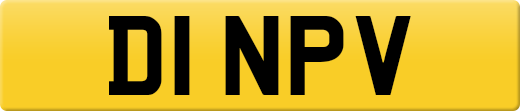 D1NPV
