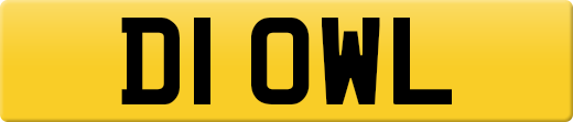D1OWL
