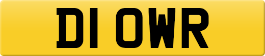 D1OWR