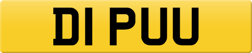 D1PUU