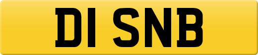 D1SNB