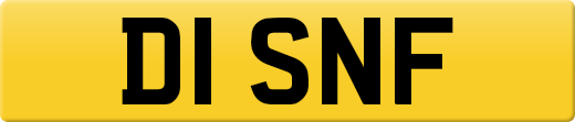 D1SNF