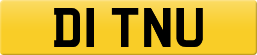 D1TNU