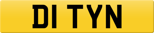 D1TYN