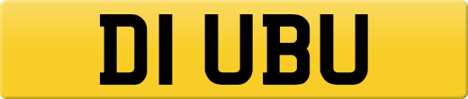 D1UBU