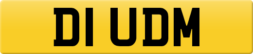D1UDM