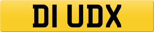 D1UDX