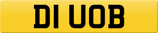 D1UOB