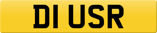 D1USR