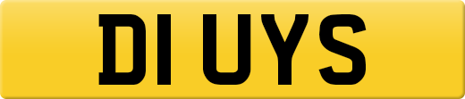 D1UYS