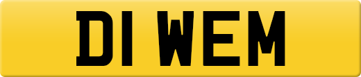 D1WEM