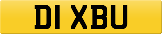 D1XBU