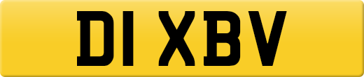 D1XBV