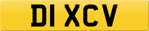 D1XCV